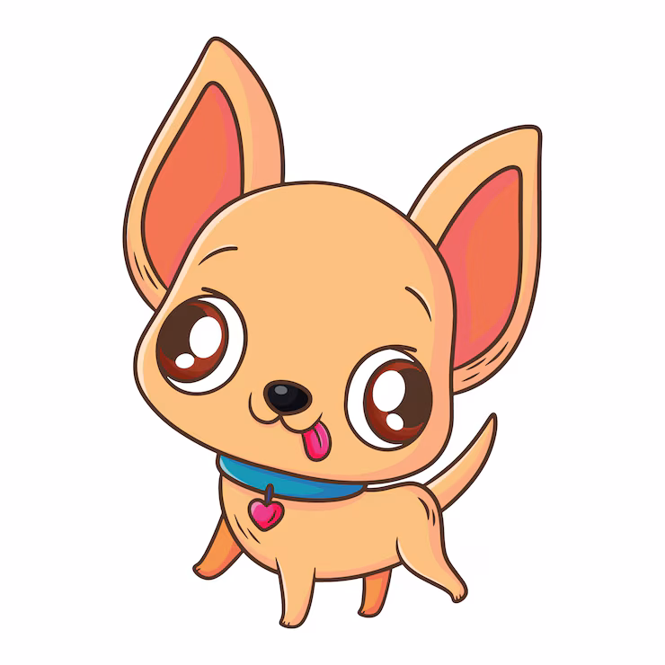 chihuahua picture